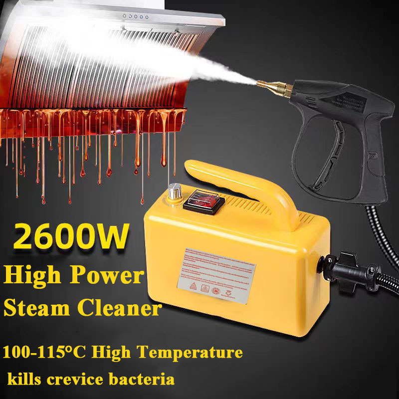 2600W Home Steam Cleaner High  - Commercial Kitchen Air Conditioner avis et prix