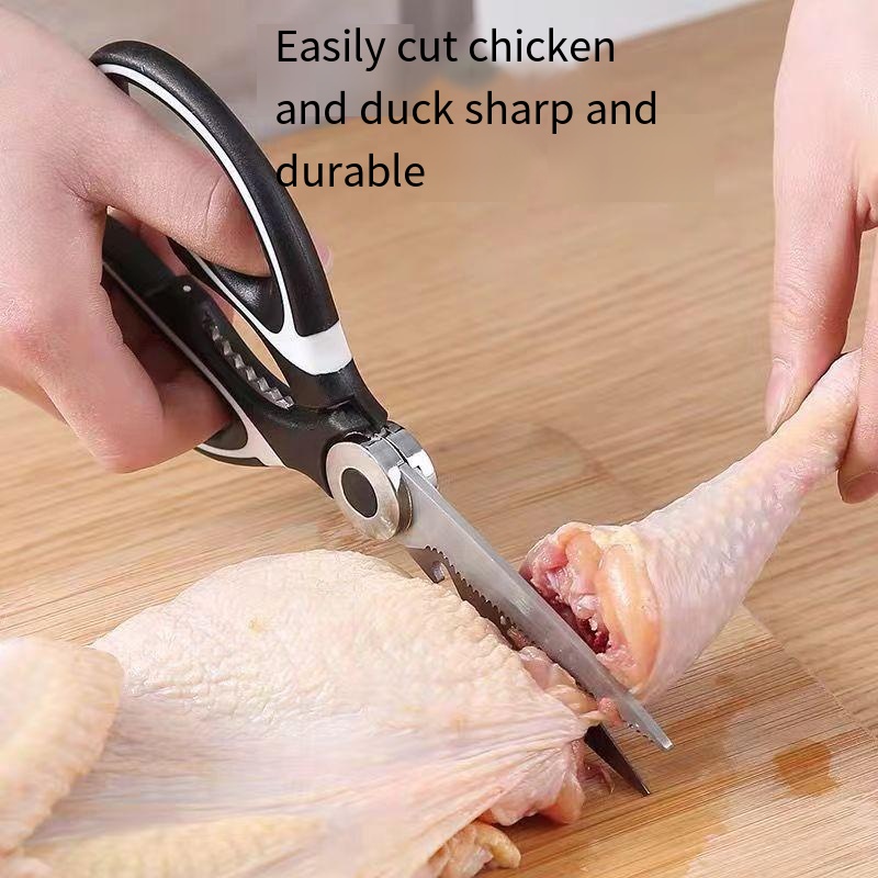Multifunctional kitchen scisso - Commercial Kitchen Broiler avis et prix