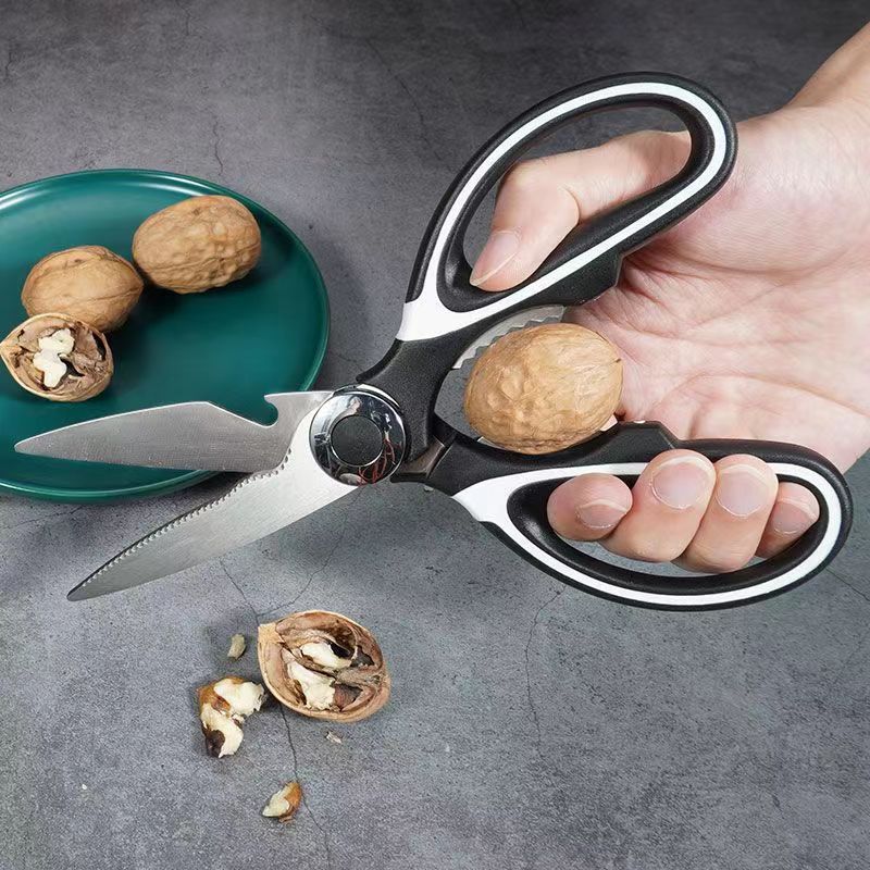 Multifunctional kitchen scisso - Commercial Kitchen Broiler avis et prix